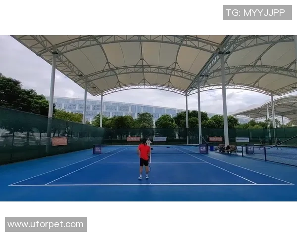 重庆网球队的节奏与发展探讨：网球运动在城市中的崛起与挑战