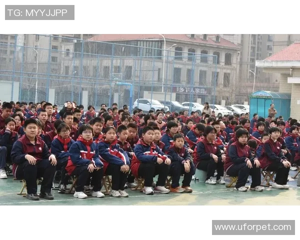 对话张芳：回顾足球生涯的荣耀与挑战，展望未来的梦想与目标