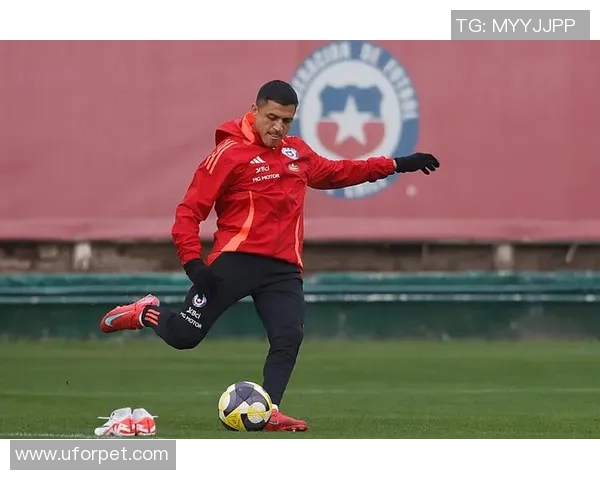 智利足球明星的辉煌历程与对国家足球的深远影响